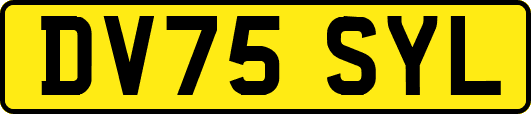 DV75SYL