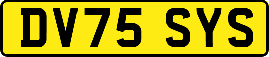 DV75SYS