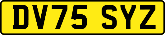 DV75SYZ