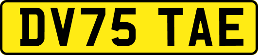 DV75TAE
