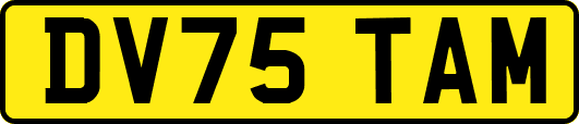 DV75TAM