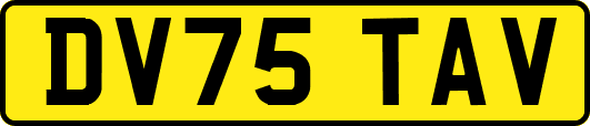 DV75TAV
