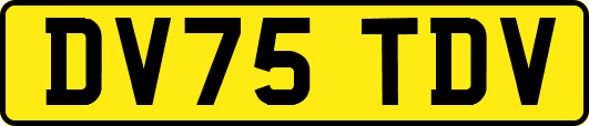 DV75TDV