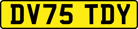 DV75TDY