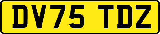 DV75TDZ