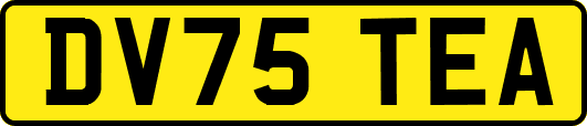 DV75TEA