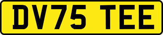 DV75TEE