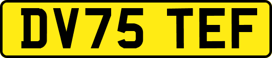 DV75TEF