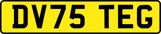 DV75TEG