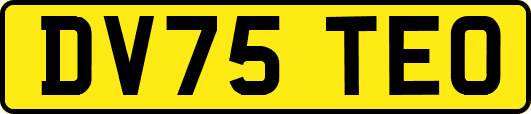 DV75TEO