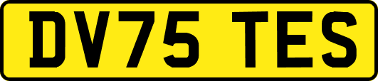 DV75TES
