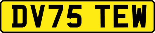 DV75TEW