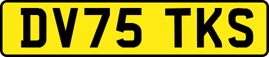 DV75TKS