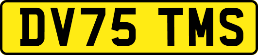 DV75TMS