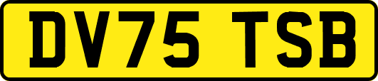 DV75TSB