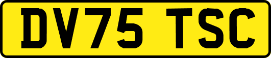 DV75TSC