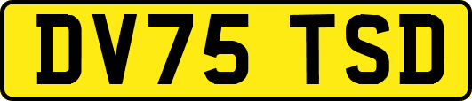 DV75TSD