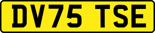 DV75TSE