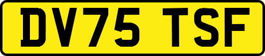 DV75TSF