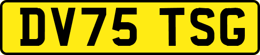 DV75TSG