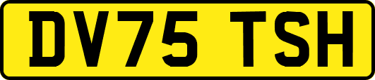 DV75TSH