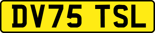 DV75TSL