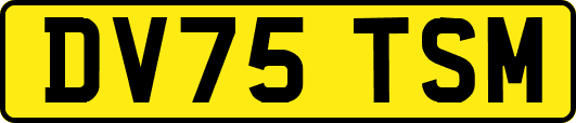 DV75TSM