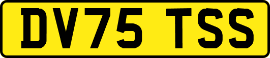 DV75TSS