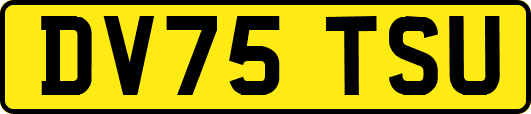 DV75TSU