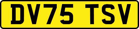 DV75TSV