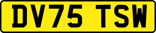 DV75TSW