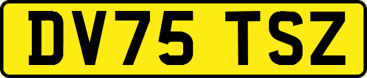 DV75TSZ