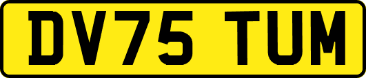 DV75TUM