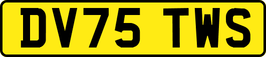 DV75TWS
