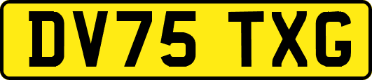 DV75TXG