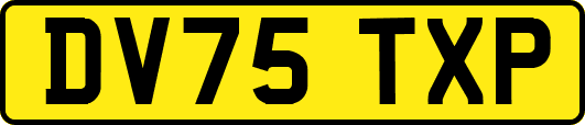 DV75TXP