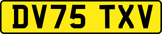 DV75TXV