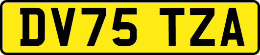 DV75TZA