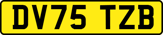 DV75TZB