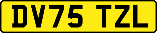 DV75TZL