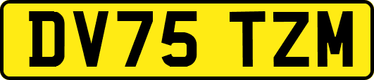 DV75TZM