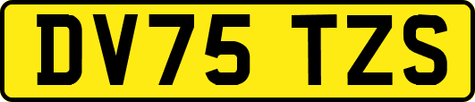 DV75TZS