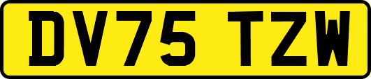 DV75TZW