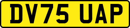 DV75UAP