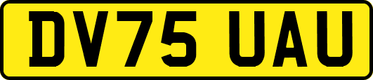 DV75UAU
