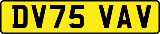 DV75VAV