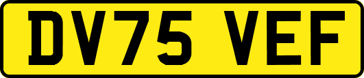 DV75VEF