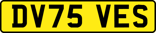 DV75VES