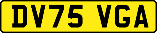 DV75VGA