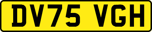 DV75VGH